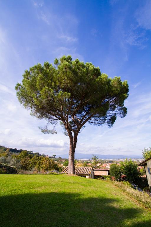 Casa Limonaia Leilighet Arezzo Rom bilde